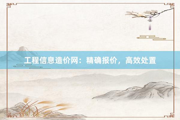 工程信息造价网：精确报价，高效处置